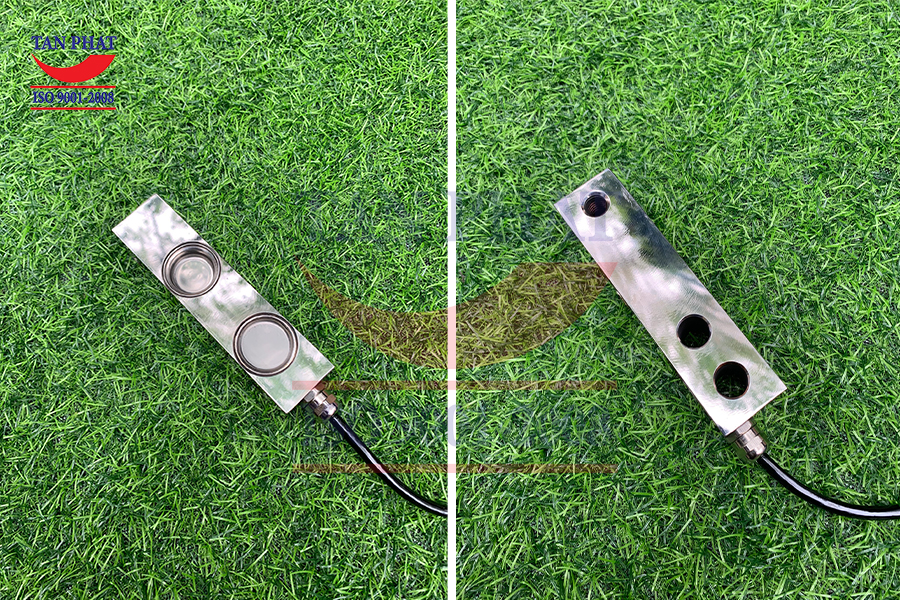 loadcell-bss-2-tan-cas-chinh-hang