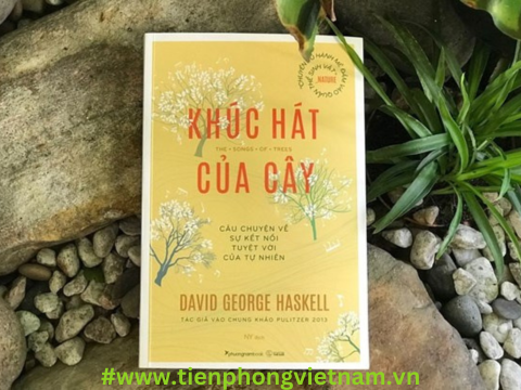 Khúc Hát Của Cây - Khám phá sự sống của cây cối