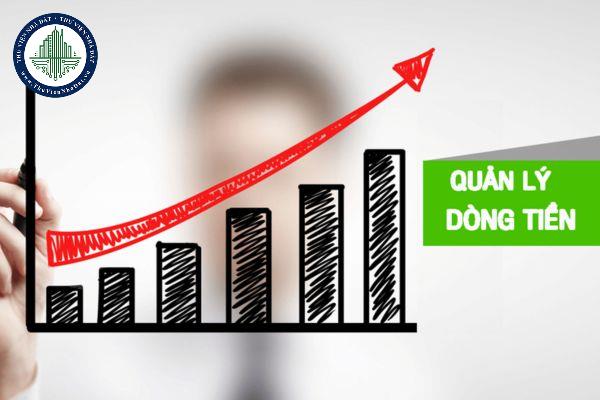 Dòng Tiền Quan Trọng Hơn Thu Nhập: Bài Học Lớn Nhất Về Tự Do Tài Chính