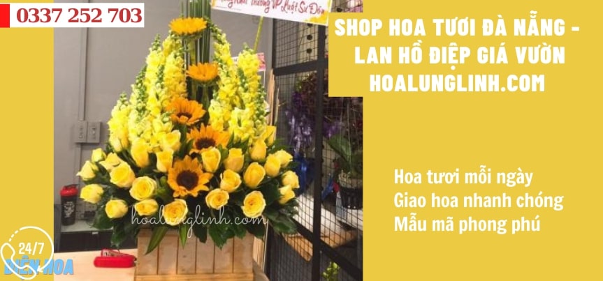 Shop Hoa Lan Hồ Điệp Tại Đà Nẵng