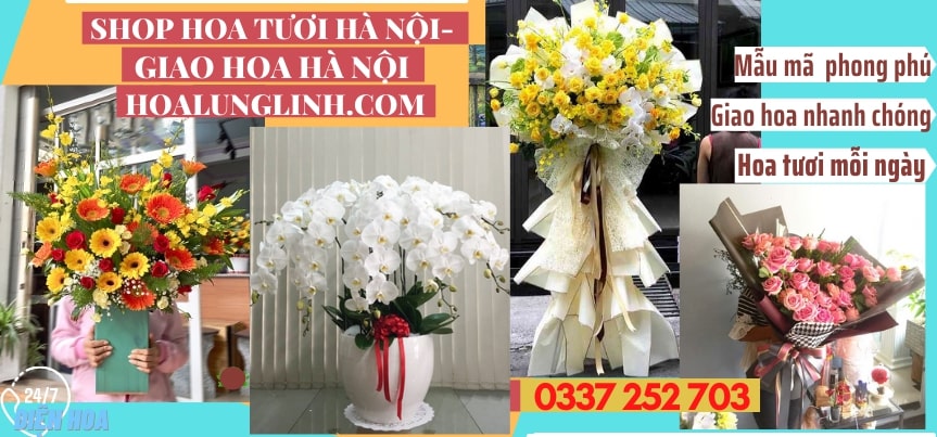 Mua Hoa Sinh Nhật Nhanh Chóng Hà Nội