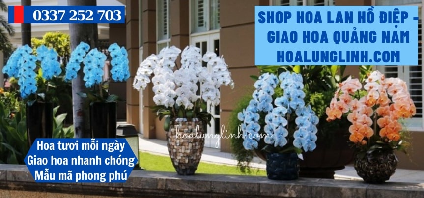 Giao Lan Hồ Điệp Tận Nơi Quảng Nam