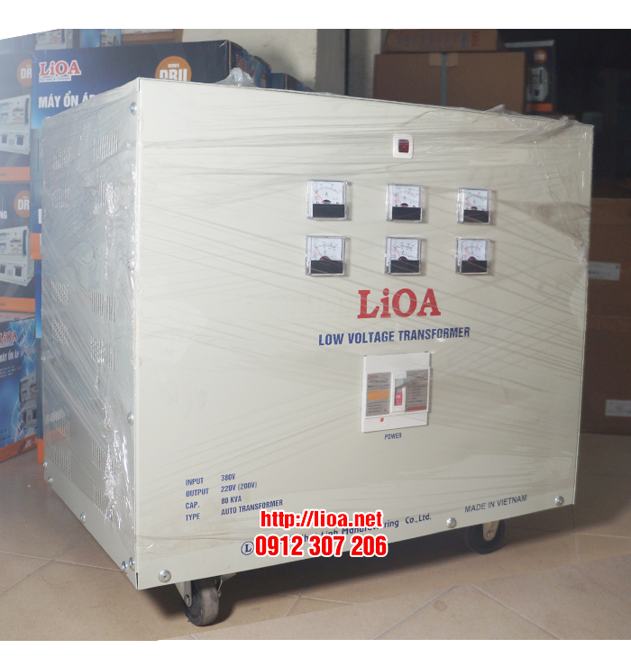 Biến Áp Tự Ngẫu 80kVA