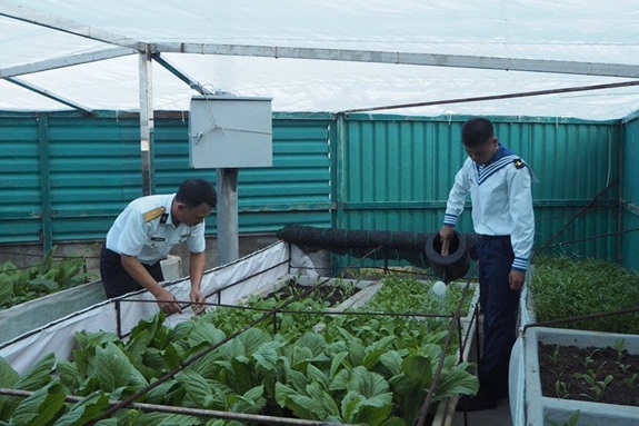 Sản xuất phát triển một số giống cây trồng vật nuôi ở quần đảo Trường Sa
