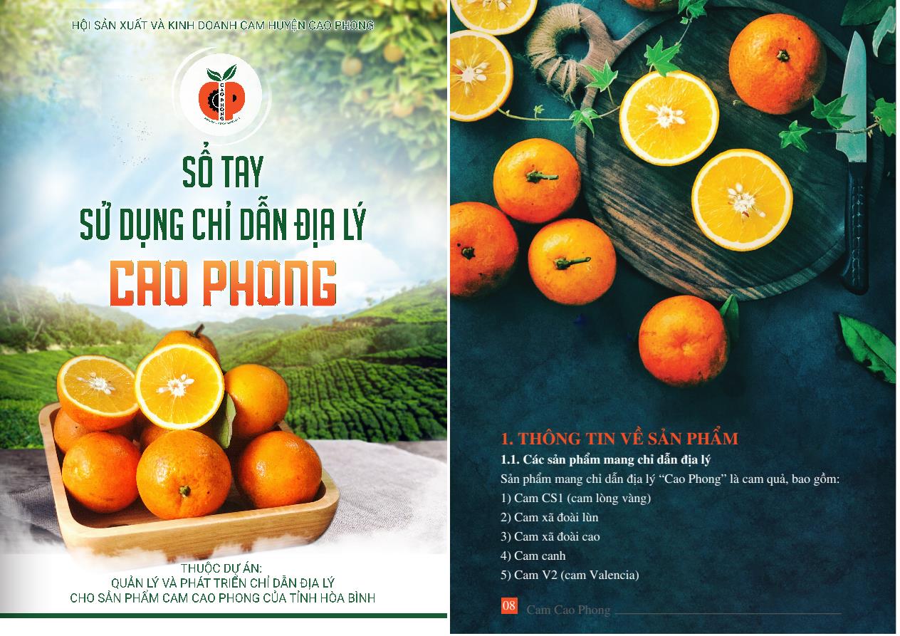Cam Cao Phong: Nâng cao giá trị từ quản lý và phát triển chỉ dẫn địa lý