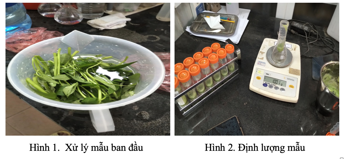 Phân tích tồn dư Thuốc bảo vệ thực vật trong Rau quả tại Viện Nghiên cứu và Phát triển Vùng