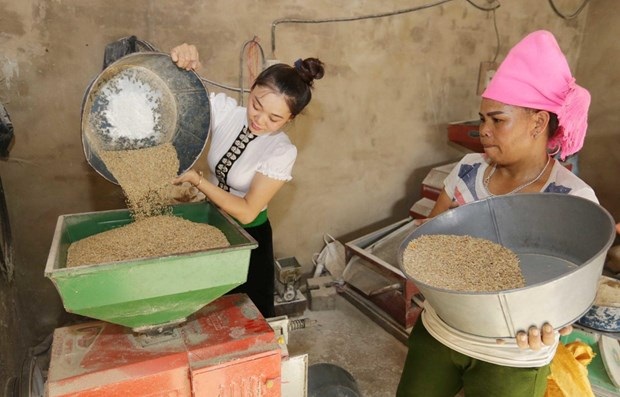 5 vấn đề còn tồn tại trong hoạt động của các tổ chức phi chính phủ nước ngoài tại Việt Nam