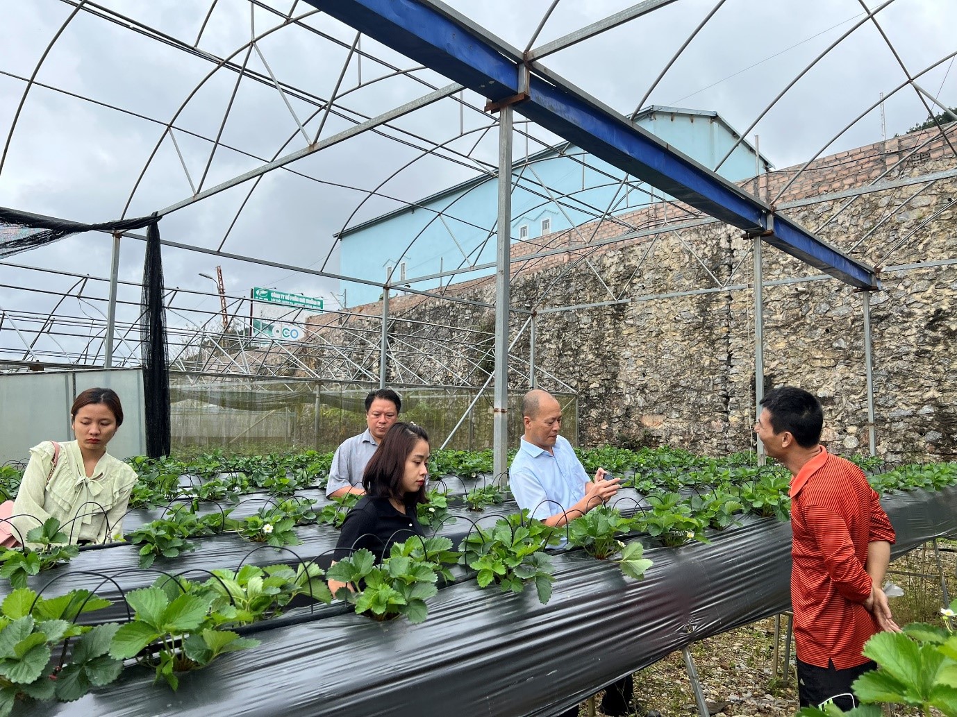 Viện Phát triển Khoa học và Công nghệ Vùng: 15 năm kiến tạo giá trị từ khoa học, sẵn sàng bứt phá trong kỷ nguyên mới