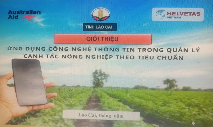 Lào Cai: 50% doanh nghiệp, HTX ứng dụng công nghệ số