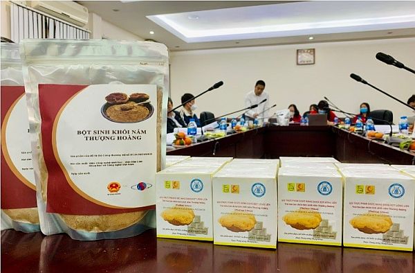 Nghiên cứu sản xuất sinh khối nấm thượng hoàng để sản xuất thực phẩm chức năng