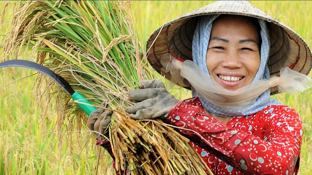 Những mốc son xuyên suốt 77 năm hình thành và phát triển