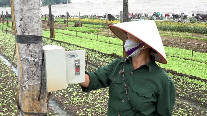Giải phóng sức lao động người trồng rau từ hệ thống tưới tiết kiệm