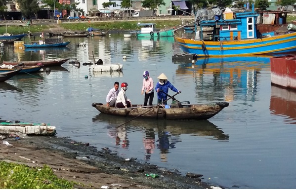Chế phẩm vi sinh xử lý ô nhiễm chất thải hữu cơ