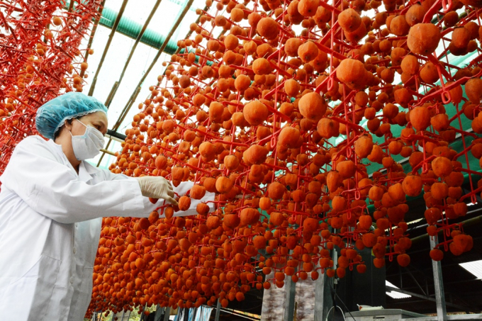 Đổi mới công nghệ chế biến và phát triển thị trường nông sản