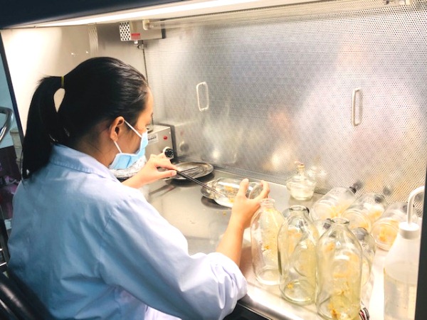 Tái cơ cấu các chương trình KH&CN quốc gia cần bám sát Chiến lược phát triển kinh tế - xã hội