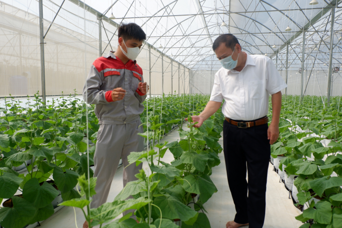 Gắn khoa học công nghệ với nông nghiệp hướng hữu cơ, bền vững