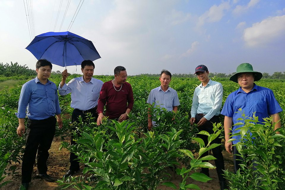 Nông nghiệp công nghệ cao – Xu thế tất yếu của kỷ nguyên số