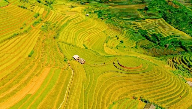 Triển khai Nghị quyết 11-NQ/TW của Bộ Chính trị: Để Trung du, miền núi Bắc Bộ phát triển xanh, bền vững và toàn diện