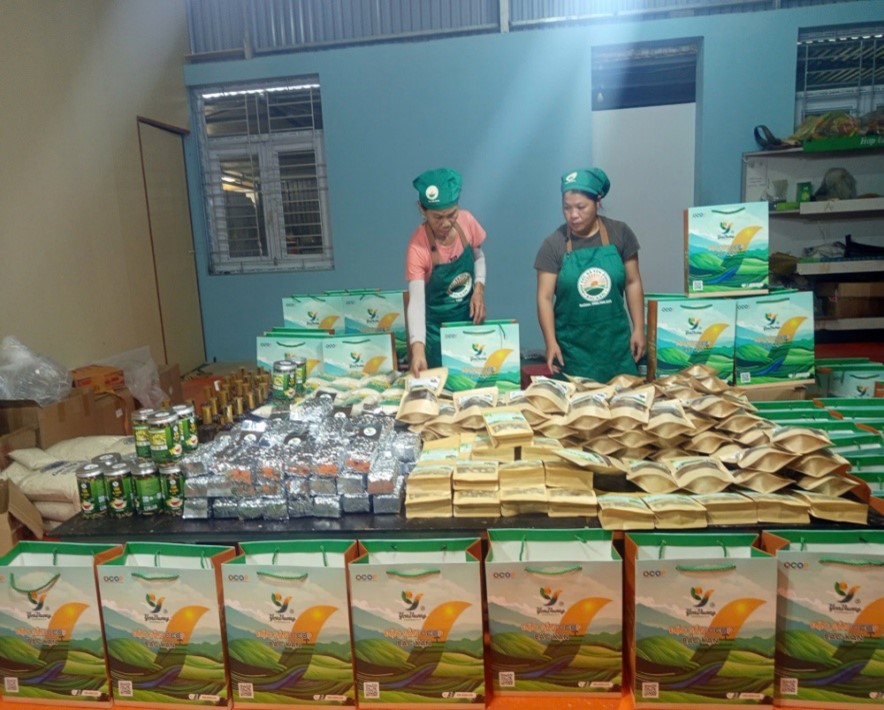 Nghiên cứu xây dựng Chương trình Khoa học và Công nghệ phát triển các sản phẩm OCOP ngành nông nghiệp trên địa bàn huyện Ba Bể, tỉnh Bắc Kạn