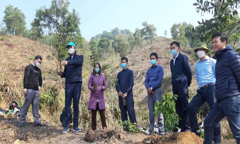 Viện Nghiên cứu và Phát triển Vùng triển khai nhiệm vụ phát triển vùng sản xuất cây Sở tại Quảng Ninh
