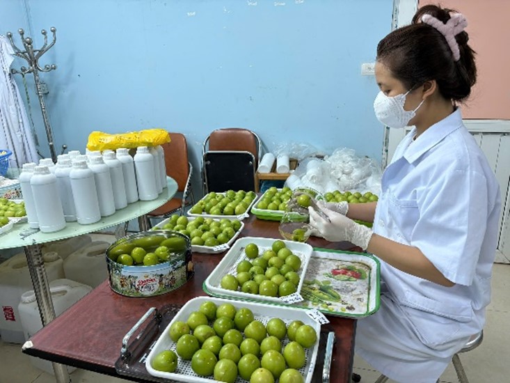 Đẩy mạnh nghiên cứu, ứng dụng khoa học và công nghệ trong bảo quản nông sản