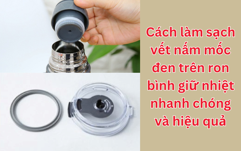 Cách làm sạch vết nấm mốc đen trên ron bình giữ nhiệt nhanh chóng và hiệu quả