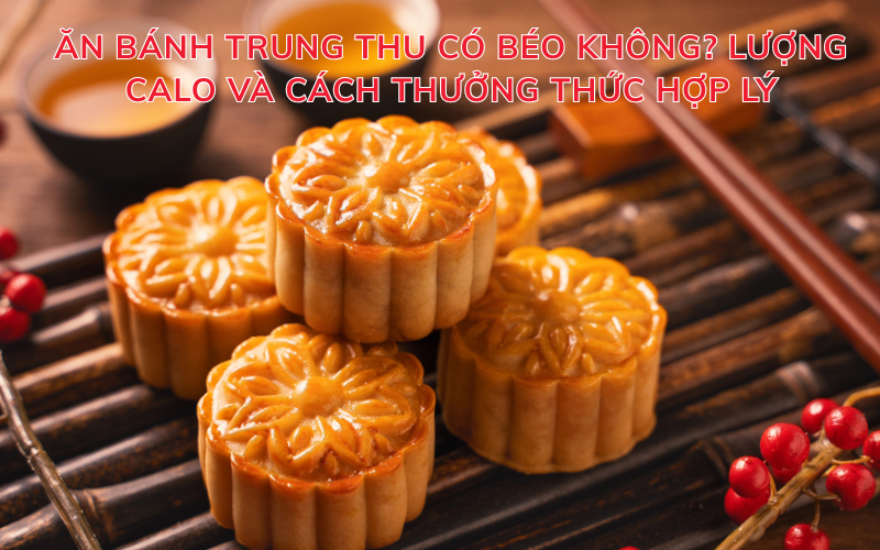 Ăn bánh trung thu có béo không? Lượng calo và cách thưởng thức hợp lý
