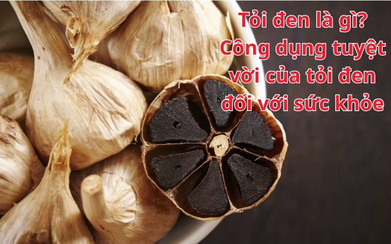 Tỏi đen là gì? Công dụng tuyệt vời của tỏi đen đối với sức khỏe