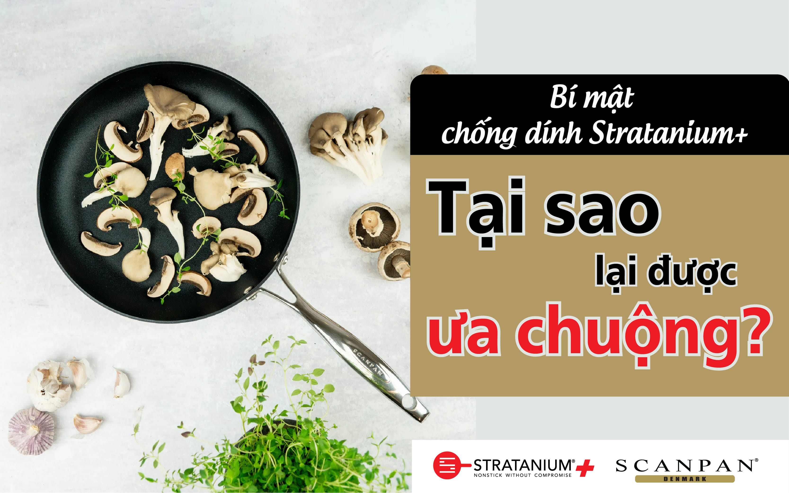 Bí mật chống dính Stratanium+: Tại sao lại được ưa chuộng?