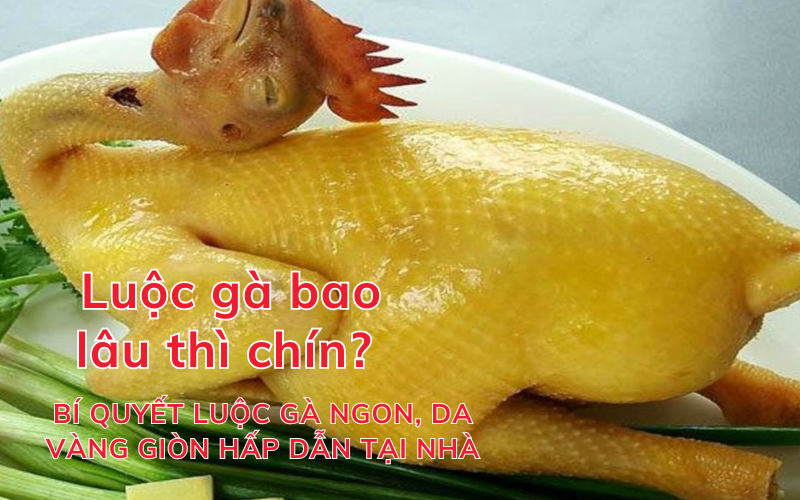 Luộc gà bao lâu thì chín? Bí quyết luộc gà ngon, da vàng giòn hấp dẫn tại nhà