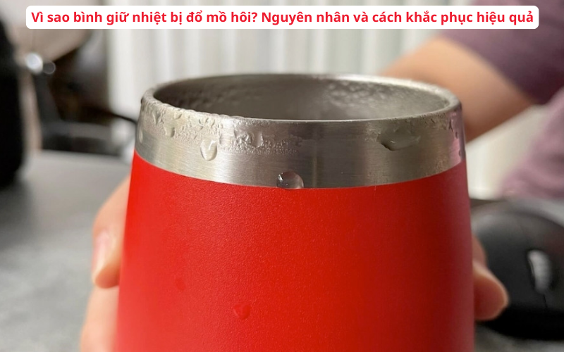 Vì sao bình giữ nhiệt bị đổ mồ hôi? Nguyên nhân và cách khắc phục hiệu quả