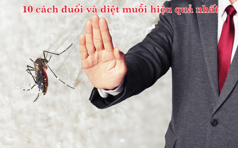 10 cách đuổi và diệt muỗi hiệu quả nhất