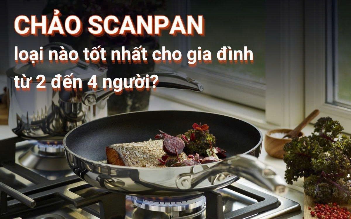 Chảo Scanpan loại nào tốt nhất cho gia đình từ 2 đến 4 người?