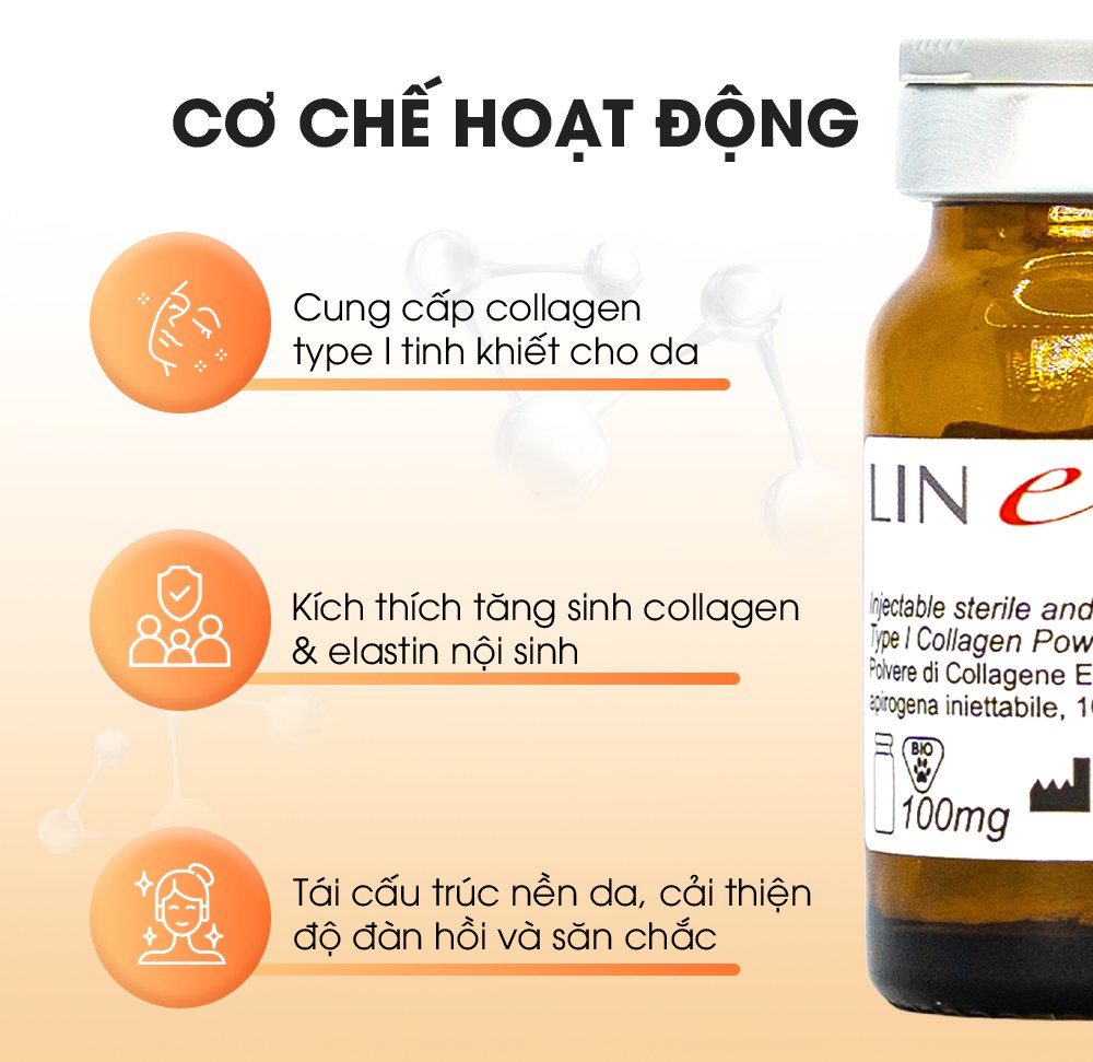 LINERASE COLLAGEN: ĐỈNH CAO TRẺ HÓA SINH HỌC CHUẨN Y KHOA TỪ CHÂU ÂU