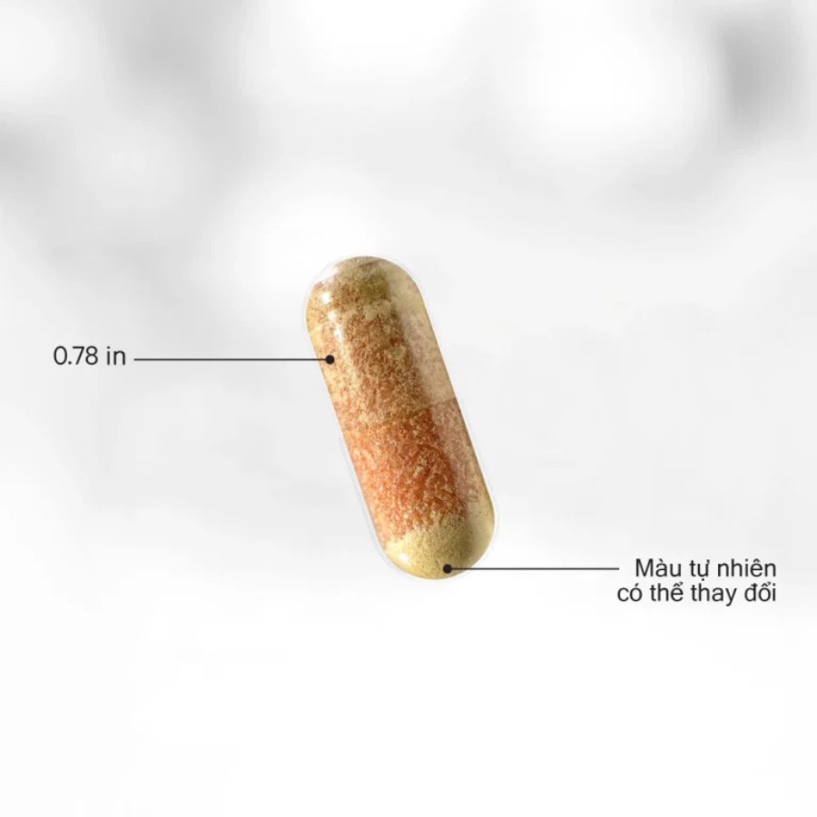 Codeage Methylfolate B Complex – Viên Uống Giải Pháp Vitamin B Nhóm Methyl Hóa Cao Cấp