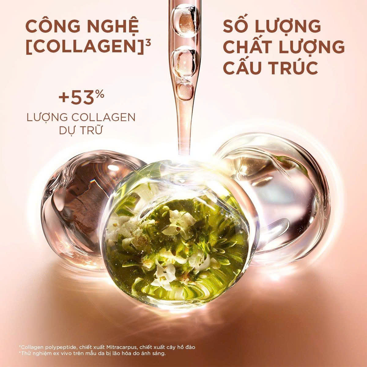 CLARINS EXTRA-FIRMING NIGHT CREAM: Kem Dưỡng Tái Tạo & Nâng Cơ Làn Da Khi Bạn Ngủ