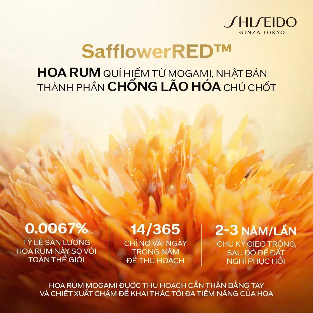 SHISEIDO VITAL PERFECTION UPLIFTING AND FIRMING ADVANCED CREAM SOFT: Kem Dưỡng Nâng Cấp Vẻ Săn Chắc, Tươi Sáng Cho Làn Da