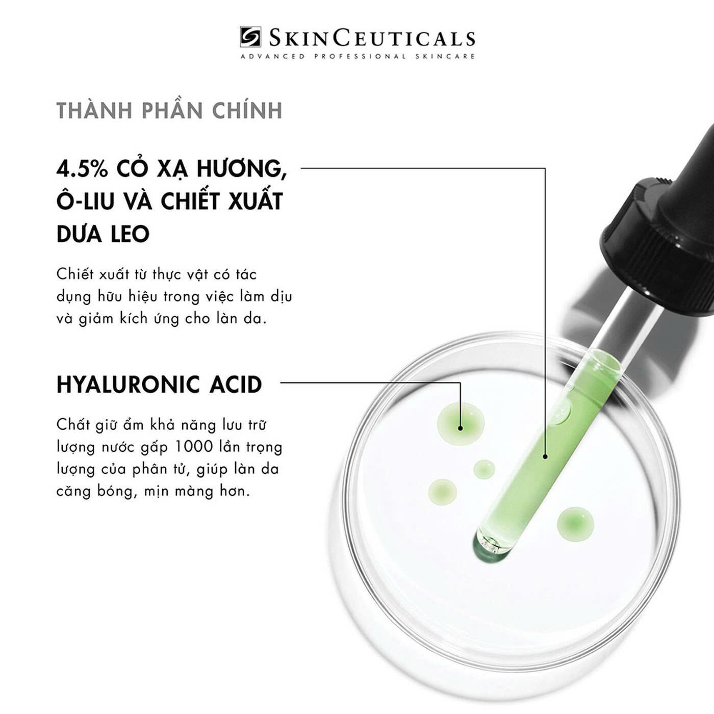 SKINCEUTICALS PHYTO CORRECTIVE GEL: Tinh Chất Dưỡng Ẩm & Làm Dịu Chuyên Sâu Cho Da Nhạy Cảm & Da Mụn