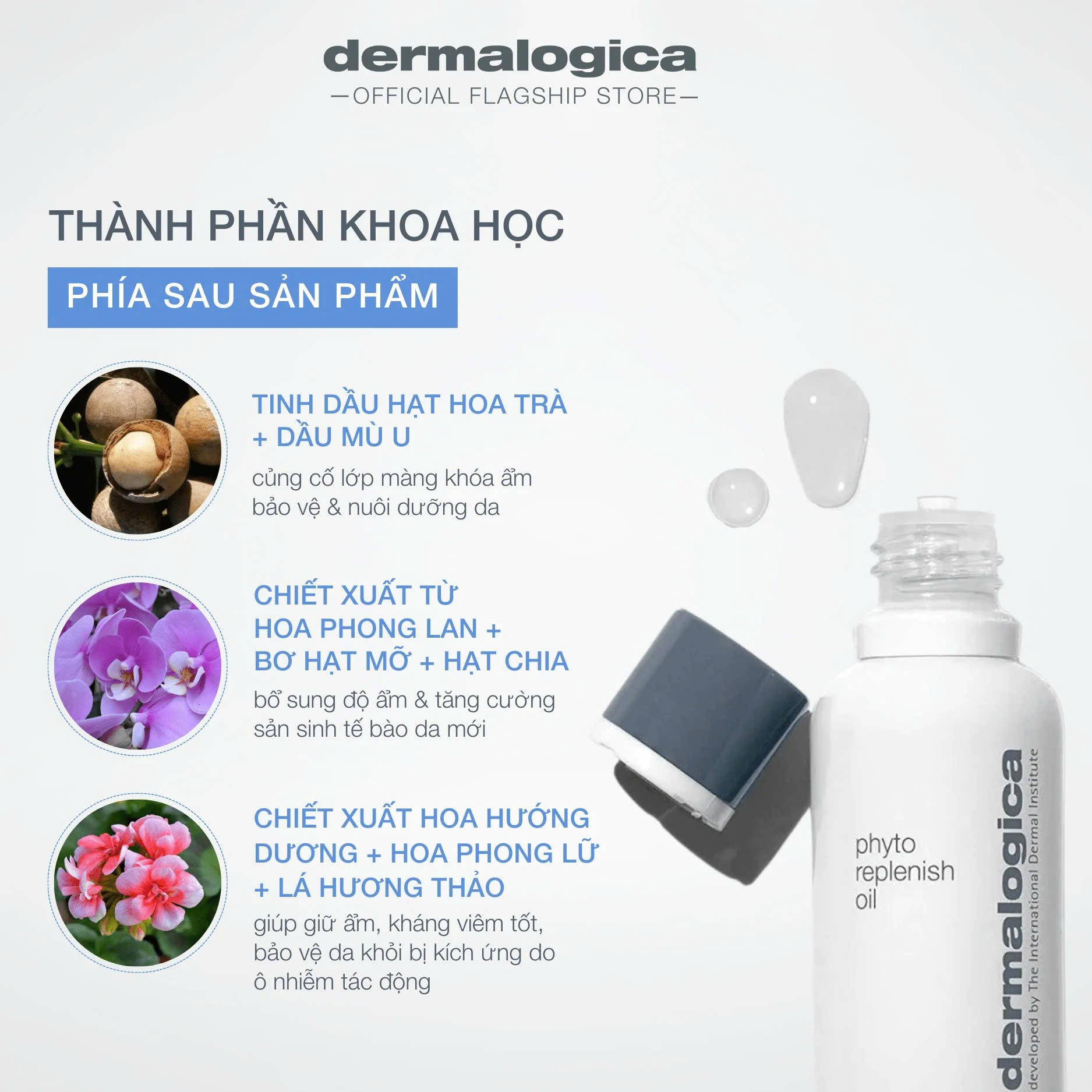 DERMALOGICA PHYTO REPLENISH OIL: Tinh Dầu Phục Hồi & Chống Lão Hóa, Cho Làn Da Căng Mọng, Rạng Rỡ