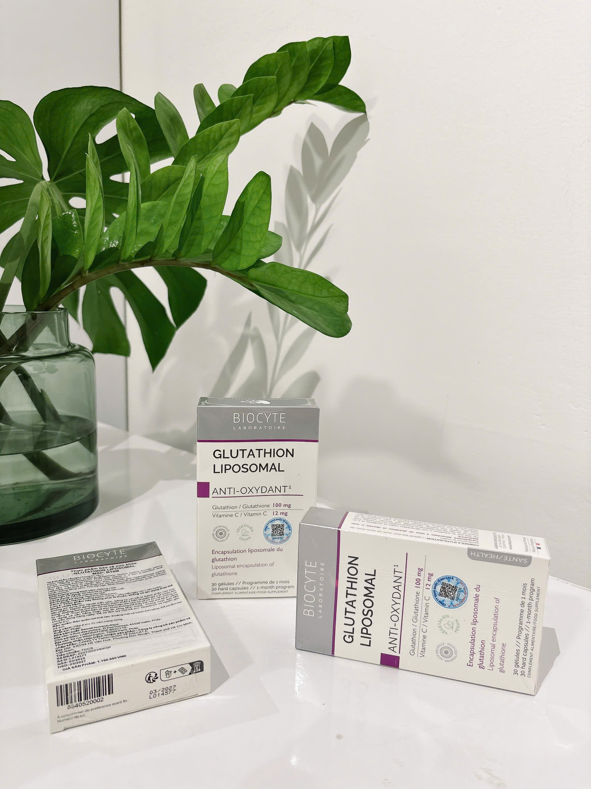BIOCYTE GLUTATHION LIPOSOMAL: Vin Ung Chng Oxy Ha Cao Cp - Sng Da, Bo V T Bo BIOCYTE GLUTATHION LIPOSOMAL: Vin Ung Chng Oxy Ha Cao Cp - Sng Da, Bo V T Bo