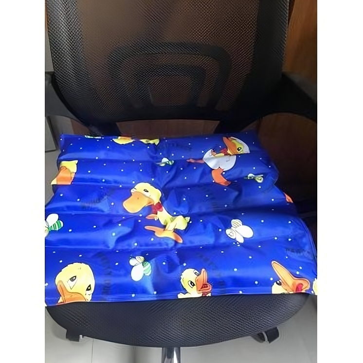 Nệm Nước Ngồi Hồng Thy