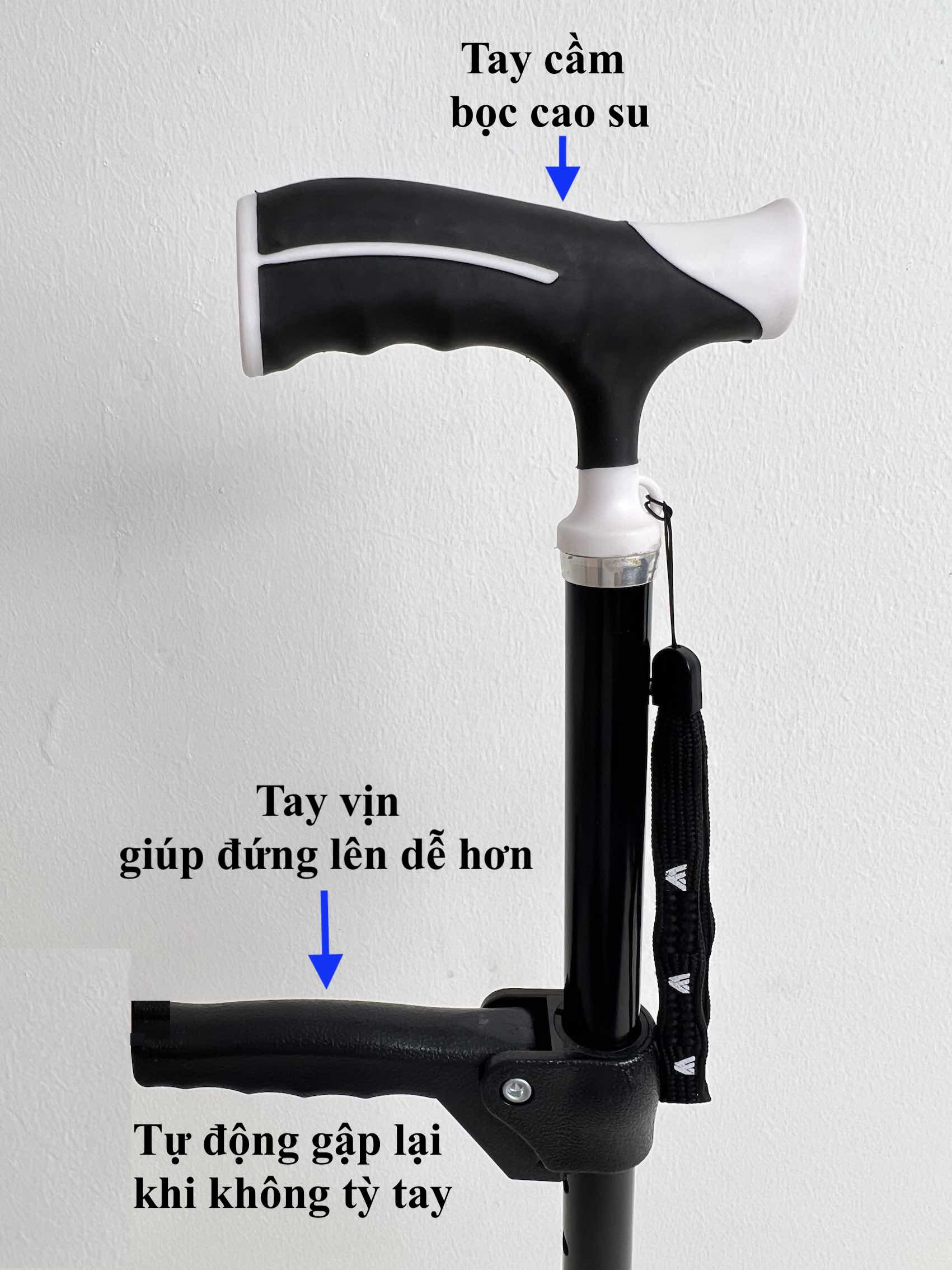 Gậy 1 Chân Thẳng (Batoong) Tự Đứng + Có Tay Vịn GBM-023