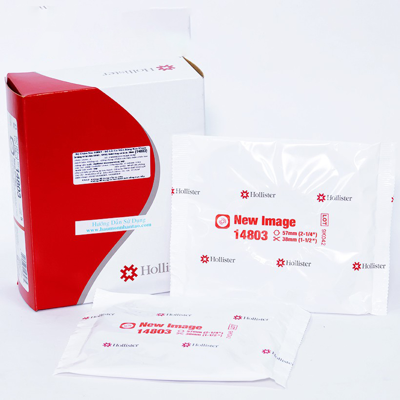 Đế Hậu Môn Nhân Tạo 2 Mảnh Hollister 14802 14803 14804 (Đế Lồi)