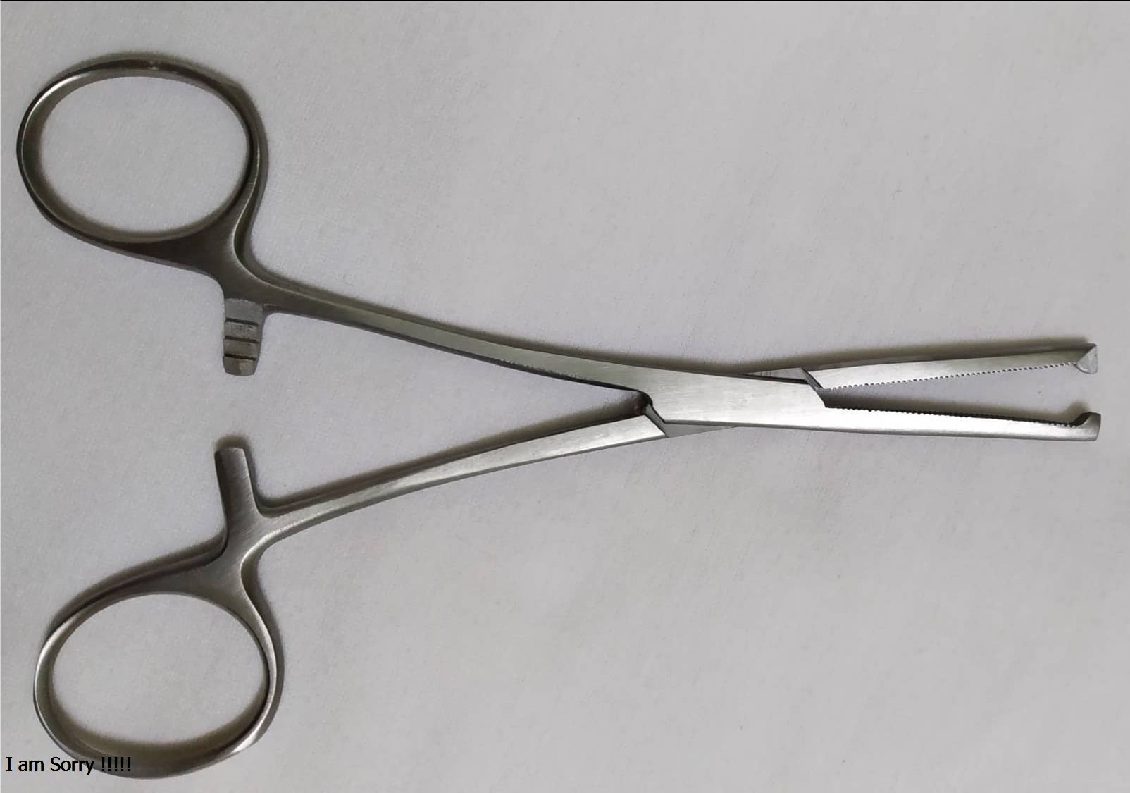 Pen Y Tế Có Mấu (Panh, Kéo Kẹp) Pakistan