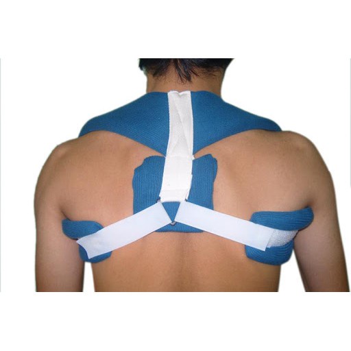 Đai Xương Đòn Gia Hưng Vina