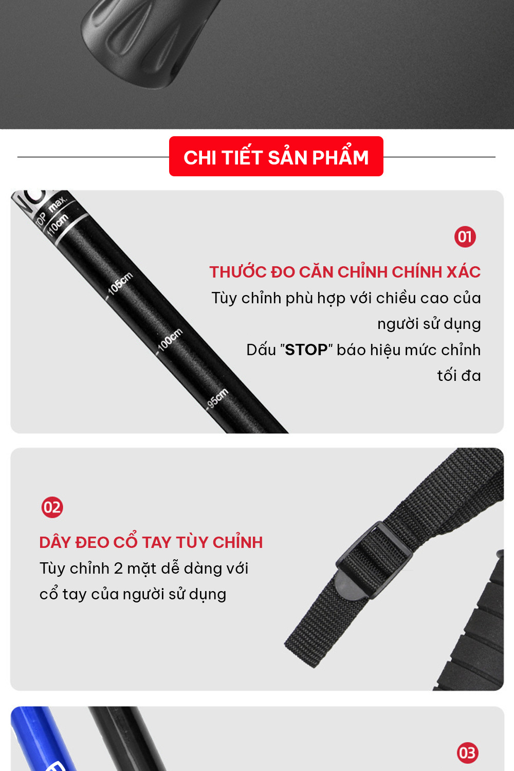 Gậy Leo Núi, Gậy Trekking GoodFit GF03E