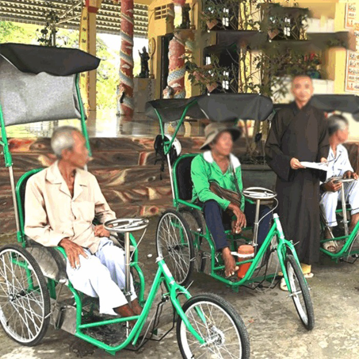 Xe Lắc Tay Có Mui Đức Cường