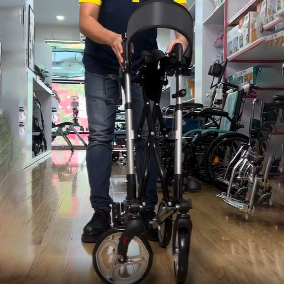 Xe Tập Đi Cao Cấp Có Ghế Ngồi, Giỏ Đựng Lucass W-89 (W89)