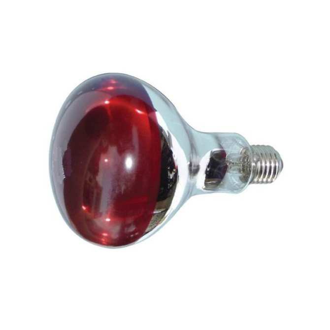 Bóng Đèn Hồng Ngoại Y Tế OSRAM 250W (Đức) Sưởi Ấm, Giảm Đau