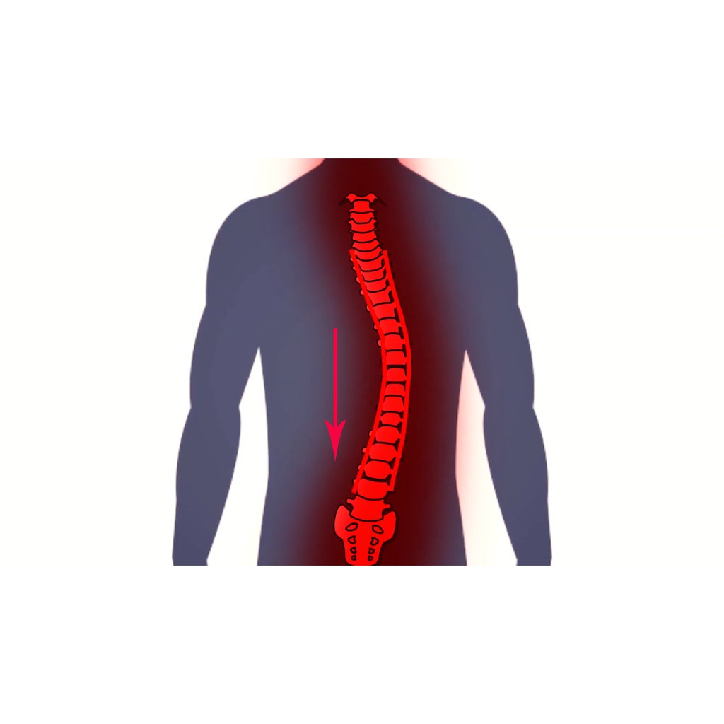 Đai Treo Xà Kéo Giãn Cột Sống Lưng Việt Nam
